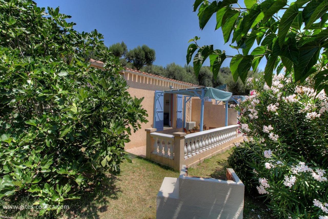 L'Amandier -Le Figuier-Les Lauriers Roses Ajaccio  Exterior foto