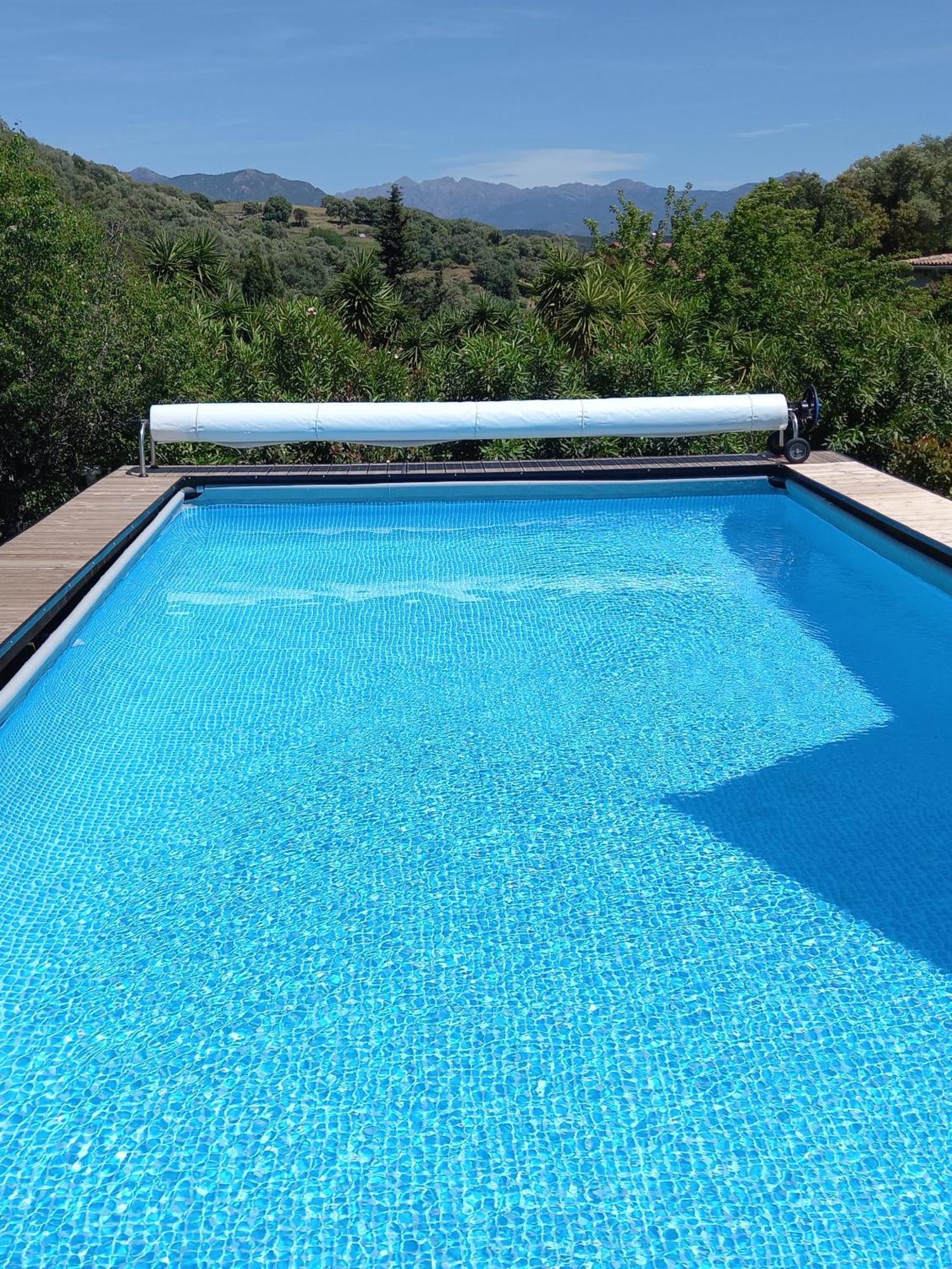 L'Amandier -Le Figuier-Les Lauriers Roses Ajaccio  Exterior foto